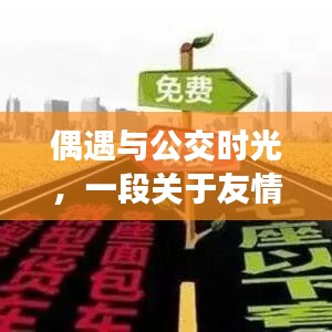 公交时光里的友情与陪伴，偶遇的温馨故事