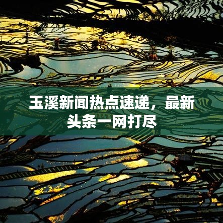 玉溪新闻热点速递，最新头条一网打尽