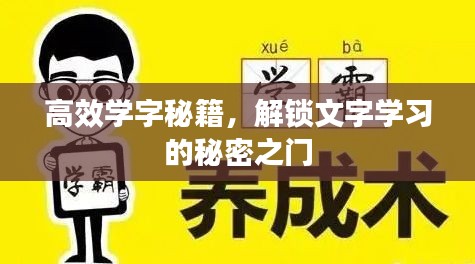 高效学字秘籍，解锁文字学习的秘密之门