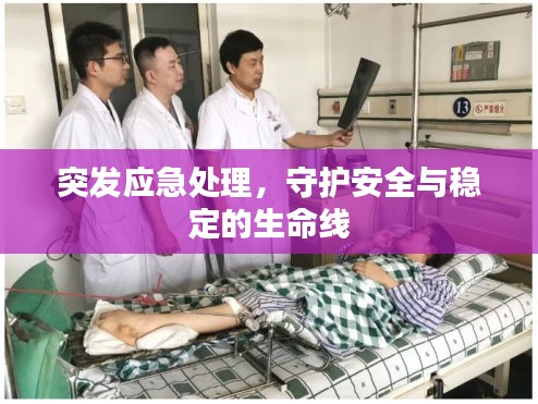 突发应急处理，守护安全与稳定的生命线