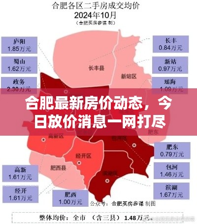 合肥最新房价动态，今日放价消息一网打尽