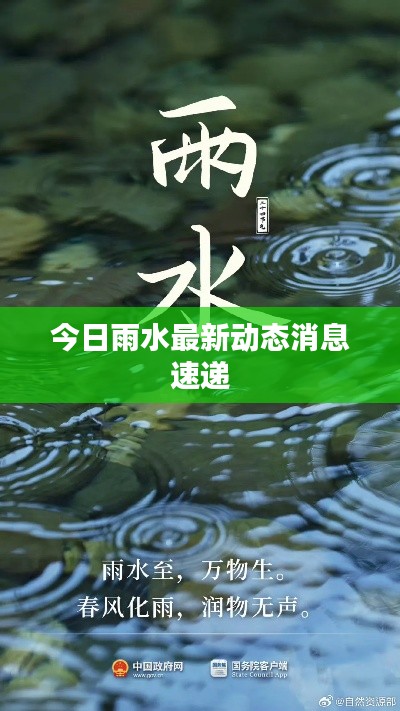 今日雨水最新动态消息速递