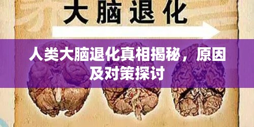 人类大脑退化真相揭秘，原因及对策探讨