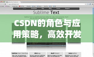 CSDN的角色与应用策略，高效开发者的必备工具