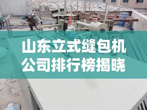 山东立式缝包机公司排行榜揭晓，领先企业一览