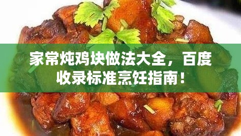 家常炖鸡块做法大全，百度收录标准烹饪指南！