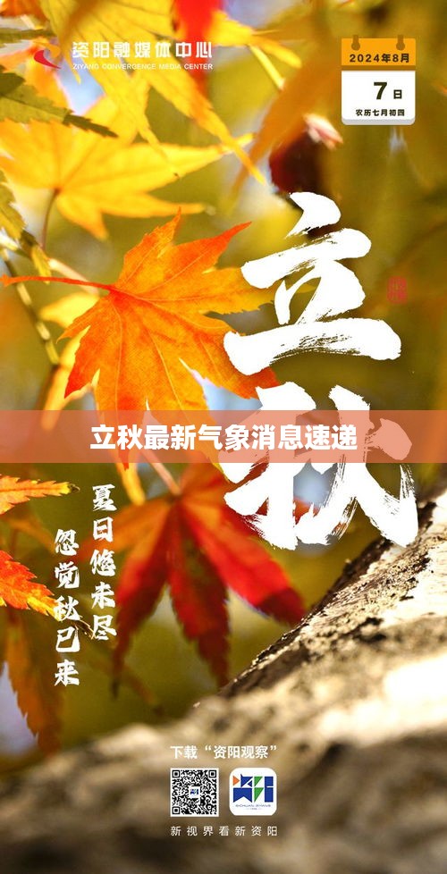 立秋最新气象消息速递