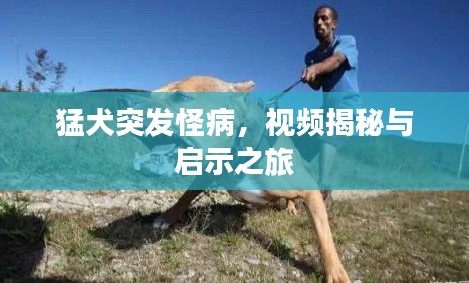 猛犬突发怪病，视频揭秘与启示之旅