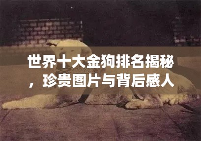 两袖清风