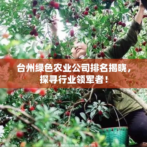 花开无言
