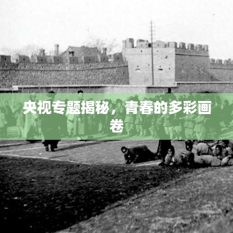 2025年6月 第125页