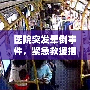 鸿飞雪爪