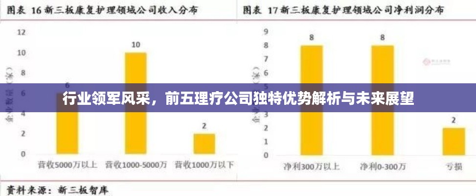 仪表堂堂