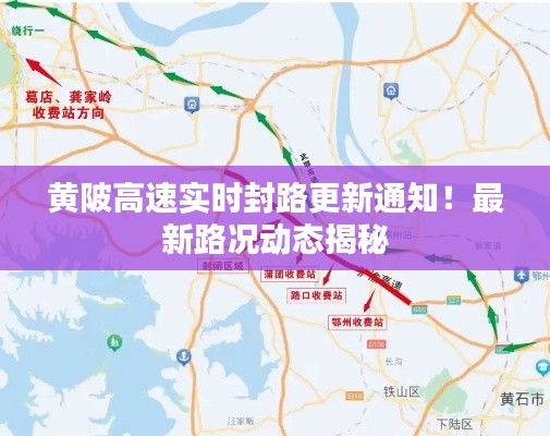 虫言鸟迹