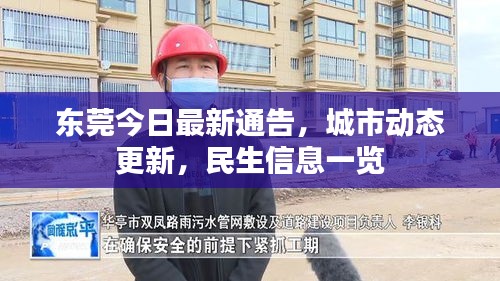 水浄鹅飞