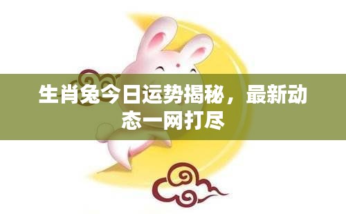 夫妻本是同林鸟