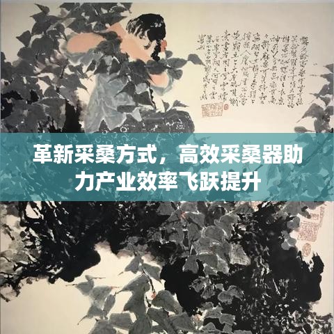 飞龙在天