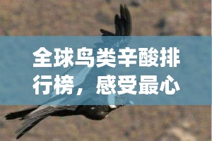 垂头丧气