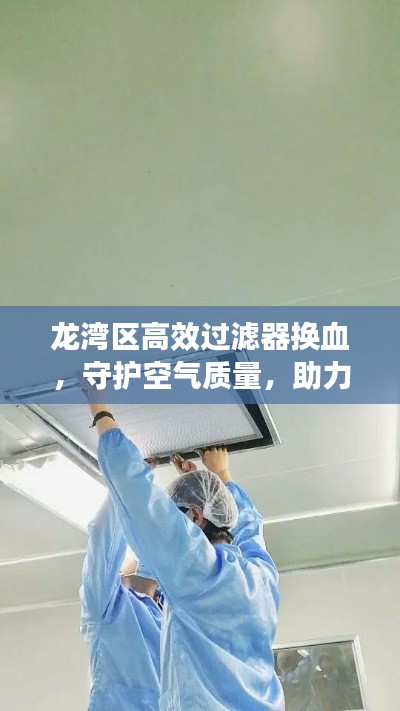 映月读书