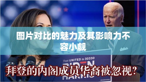 瞋目张胆
