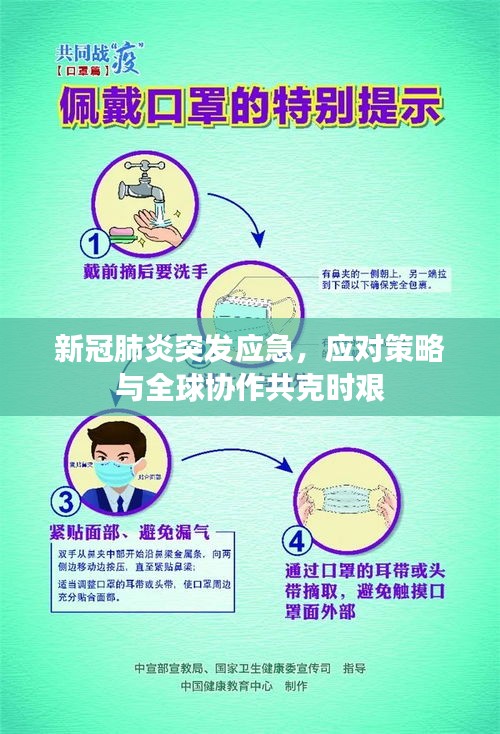 候鸟南飞