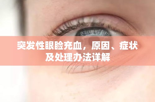 量入为出