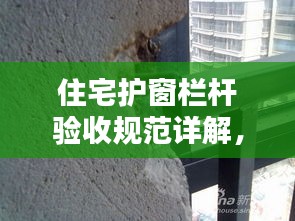 风流倜傥