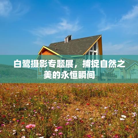 张皇无措