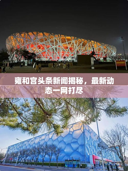 2025年6月 第10页