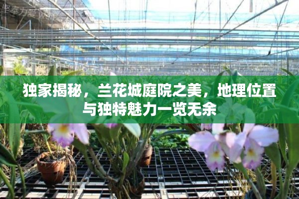 惊弦之鸟